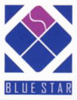 Blue Star Electromechanical Works