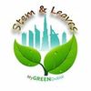 Stem And Leaves - House Plants Online  Dubai, UAE