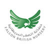 Falcon British Nursery