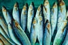 Aljehdamiint: Fresh Fish, Fruits, Vegitable And 