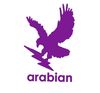 Arabian International Industries Llc  Ajman, UAE