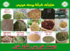 Best Herbs   Fayom, Egypt